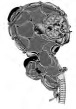 Linking chamber lower level