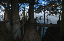 Walkways through the jungle.