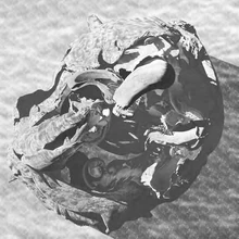 Upper Deadwood Ridge