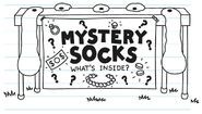 Mystery Socks