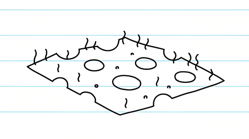 The Cheese Diary of a Wimpy Kid Wiki Fandom