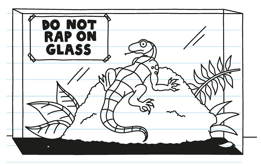 Stress Lizard | Diary of a Wimpy Kid Wiki | Fandom