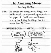 AmazingMoose1