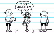 Diary of a Wimpy Kid29