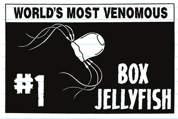 Box jellyfish | Diary of a Wimpy Kid Wiki | Fandom