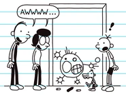 Diary of a Wimpy Kid21