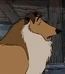 Collie-one-hundred-and-one-dalmatians-77.3