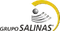 Grupo Salinas-logo