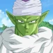 Piccolo1