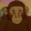 Chimpanzee 3 (Ep9-S2) MB