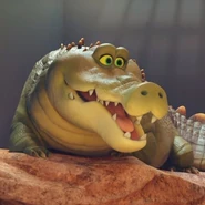 JackieAustralia.jpg (32 kB) Jackie en Animalia en Australia.