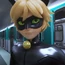 Cat Noir-MRCLSLBDLR