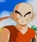 Krilin-adolescente-DB