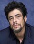 Voz recurrente de Benicio del Toro.