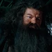HP5RubeusHagrid