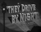TheyDriveByNight1940Logo