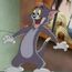 Tom Cat Tom and Jerry Aladdin