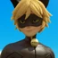 Cat Noir-SMFA