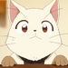 Juniorcat (KCC)