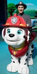 Marshall (PAW Patrol ¡En Vivo! Carrera Al Rescate)
