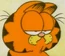 Garfield GITR