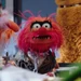Animal TheMuppets
