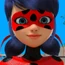 Ladybug-MRCLSLBDLR