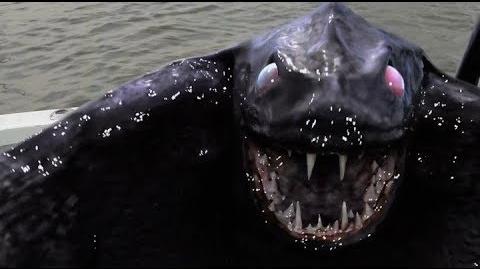 La bestia del Mar de Bering - peliculas de terrorr, peliculas completas en español latino