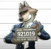 Mr.wolf456-agosto-2025