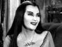 Lily-munster