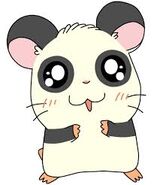 Panda (2ª voz) en Hamtaro.