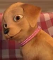 Taffy-barbie-and-her-sisters-in-the-great-puppy-adventure-0.42
