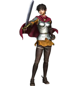 Musou-Casca