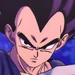 Vegeta-DBSH