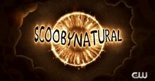 ScoobyNaturalLogo