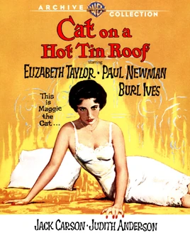 Gatasobreeltejeadocalienteposter