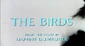 The birds Opening