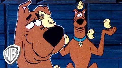 Scooby-Doo! Where Are You en Español Scooby y el Pollito