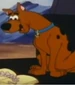 Scoobydoo-The-new-Scooby-and-Scrappy-doo-show