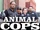 Animal Cops