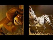 DreamWorks Madagascar en Español Latino - Transferencia de Zoo - Madagascar - Dibujos Animados
