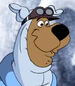 Scooby-doo-chill-out-scooby-doo--6.49.jpg