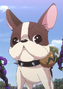 Lightning en la franquicia de Bakugan: Battle Planet.