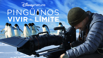 Pinguinos-vivir-al-limite-2020