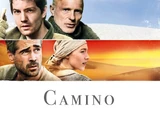 Camino a la libertad
