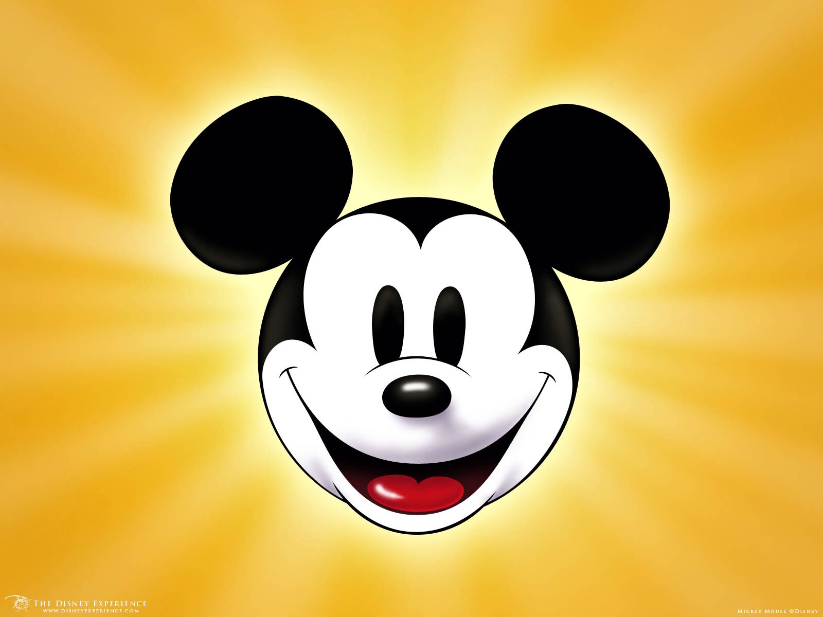 Disney Disfraz de Mickey mouse mickey mouse de 2 a 3 Años