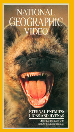 Eternos enemigos: Leones y hienas | Doblaje Wiki | Fandom