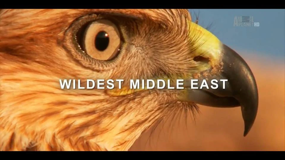 Oriente Medio salvaje | Doblaje Wiki | Fandom