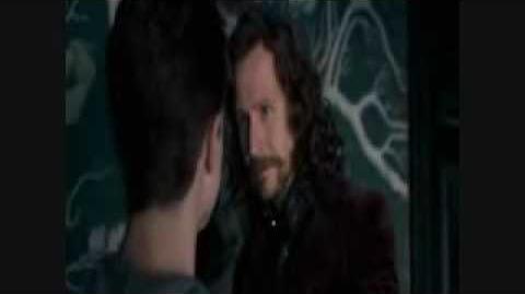 Salvador Delgado como Sirius Black