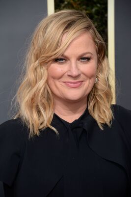 Amypehler